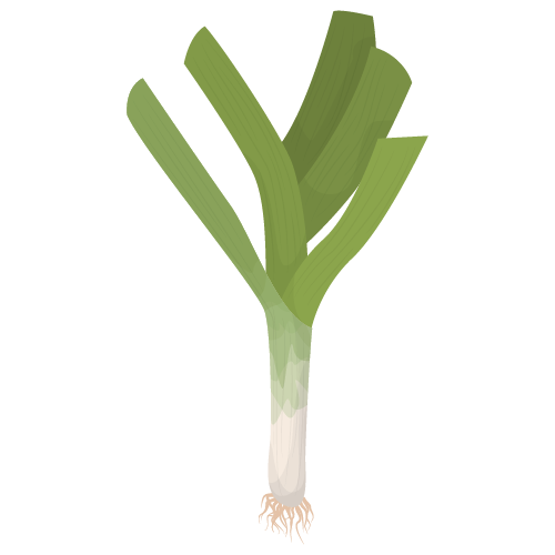 Tỏi tây thumbnail