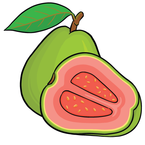 Ổi thumbnail