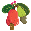 Điều thumbnail