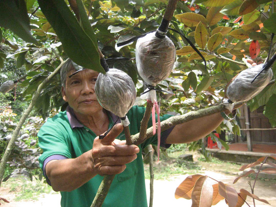 chiết-cành_1640486206.jpg