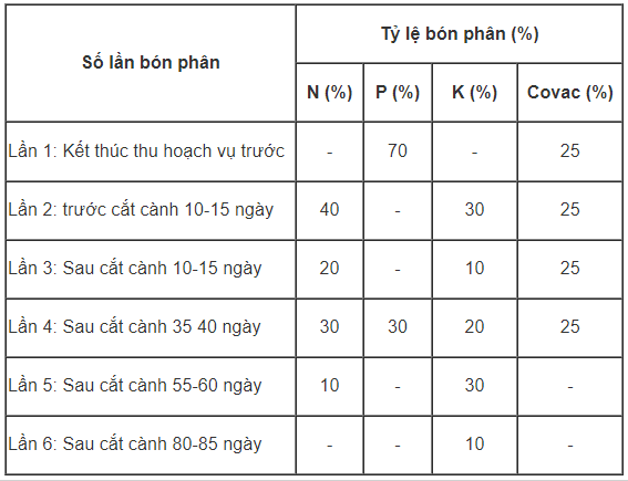 bón-phân-kinh-doanh-nho_1641531390.png