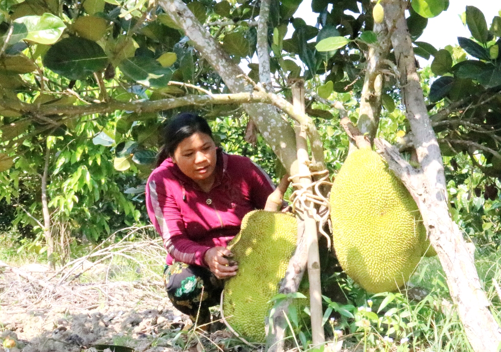 bai1-thu-hoạch3_1648184491.jpg