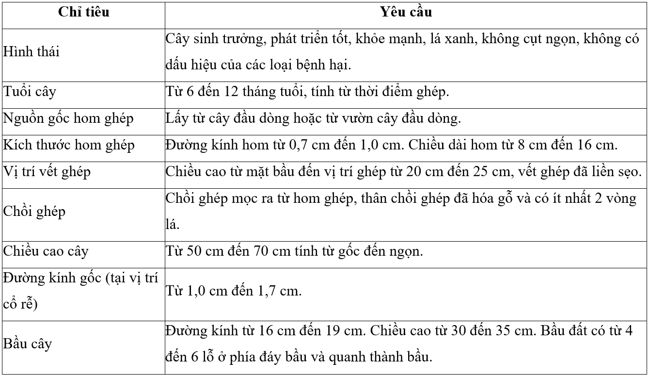 tieu-chuan-cay-ghep_1654071105.png