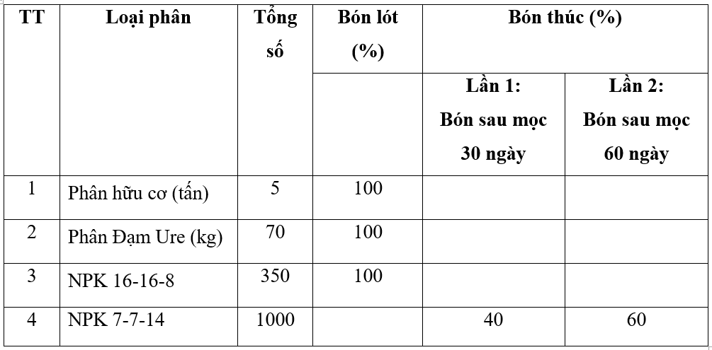 bón-phân3_1654766593.png