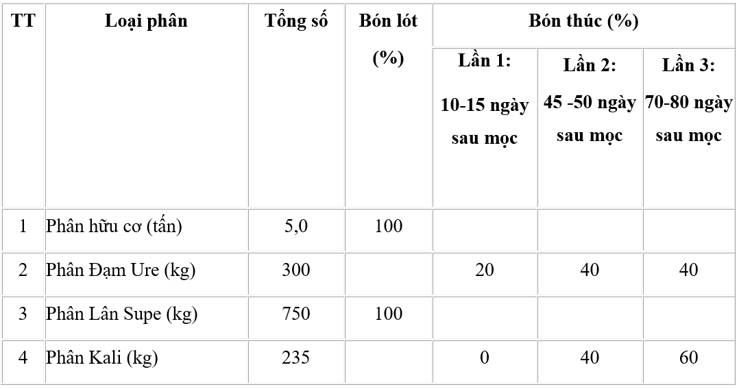 bón-phân4_1654766738.png