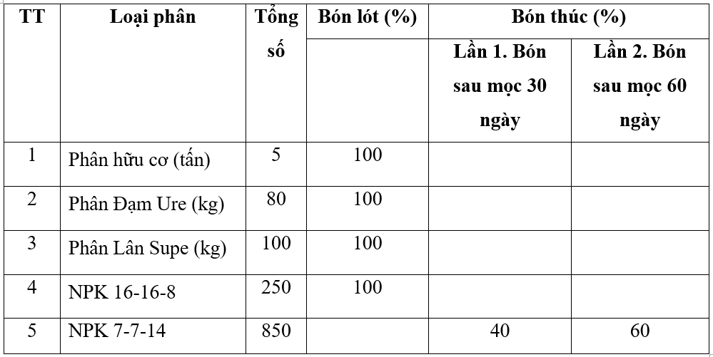 bón-phân5_1654766835.png