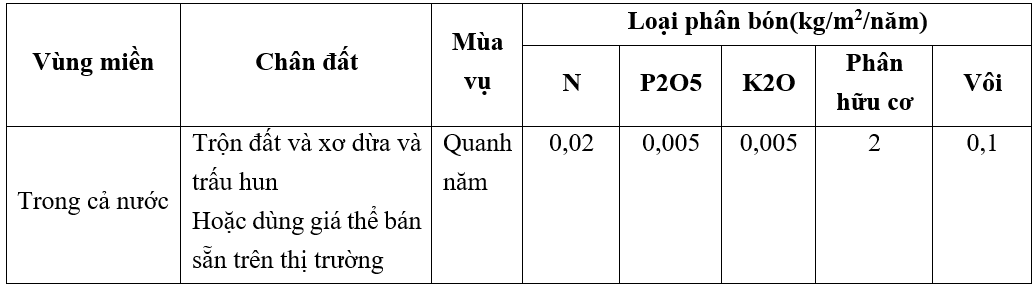 bon-phan1_1660798897.png