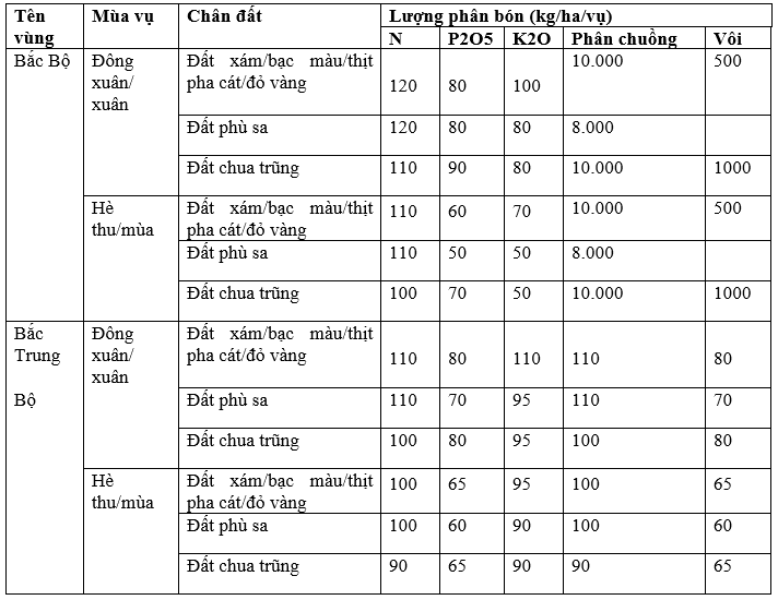 Bón phân ở miền Bắc