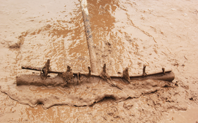 bai 5-1_1629947877.jpg