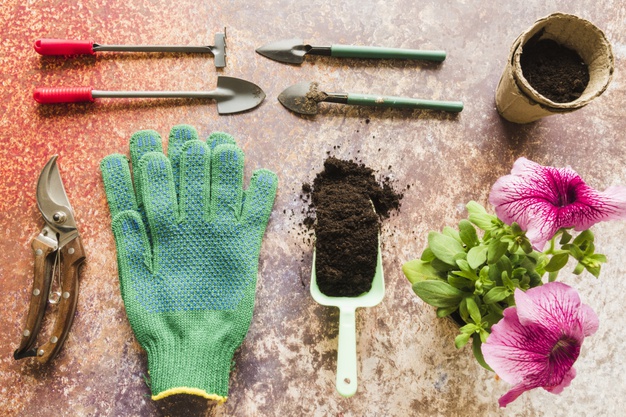 mini-gardening-tools-secateurs-gloves-soil-peat-pot-with-petunia-flower-plant-grunge-backdrop_23-2148181189_1623391656.jpg