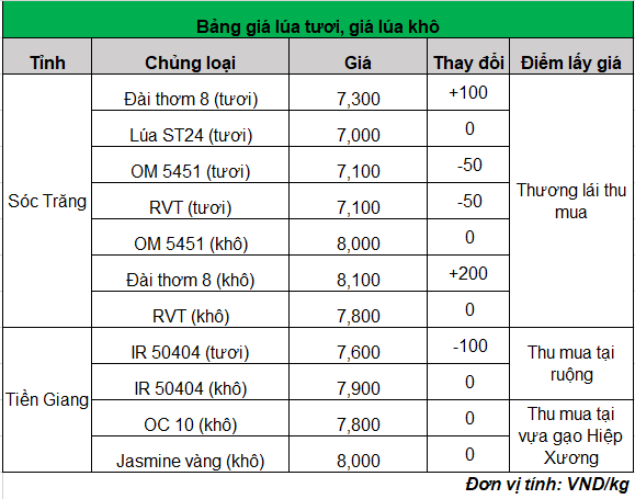 gia-lua-gao-hom-nay_1695200054.png