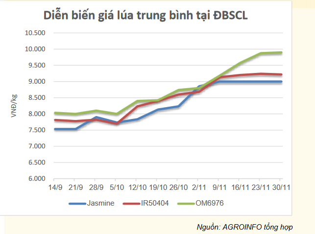 dien-bien-gia-gao-trong-nuoc_1701751737.PNG