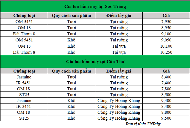 Giá lúa gạo hôm nay 2/12/2024