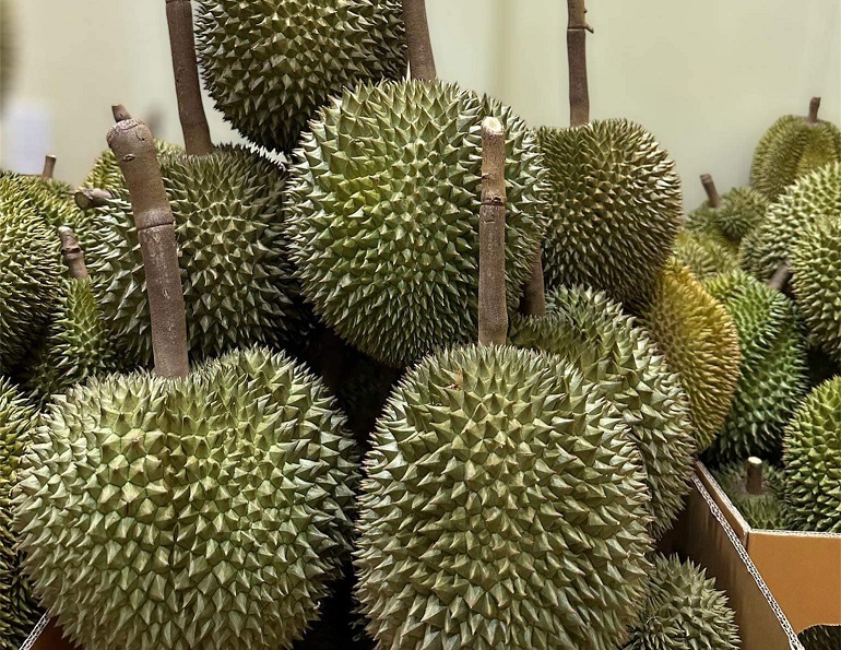 Gia-sau-rieng-hom-nay-6_1746514353.png