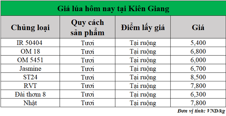 Gia-lua-hom-nay-ngay-13-6-2025_1749790522.png