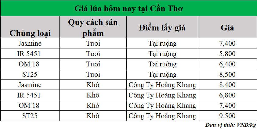Gia-lua-hom-nay-ngay-16-6-2025_1750049865.png