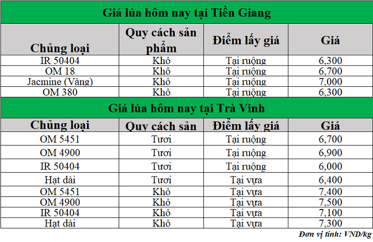 Gia-lua-hom-nay-ngay-18-6-2025_1750227880.png