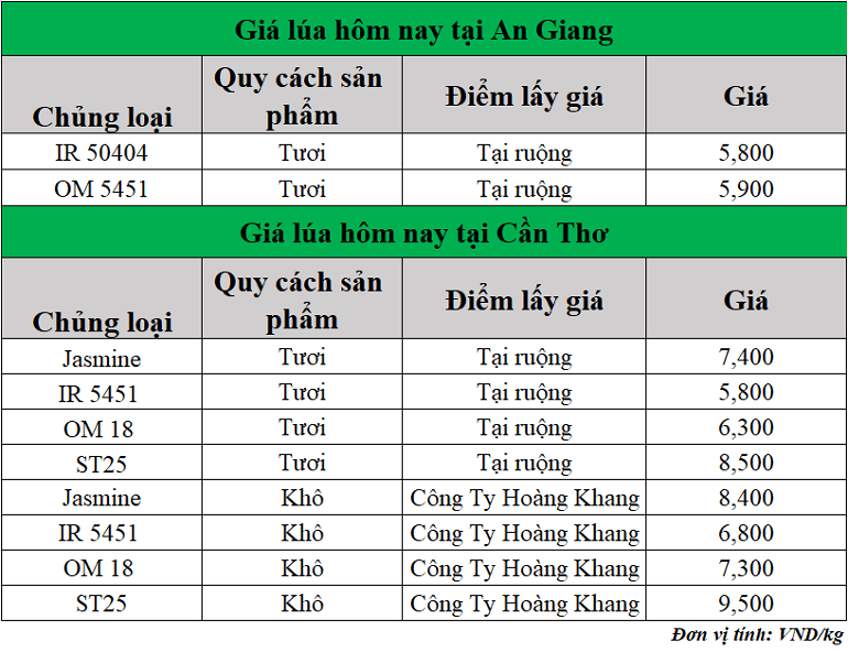 Gia-lua-hom-nay-ngay-19-6-2025_1750309137.png