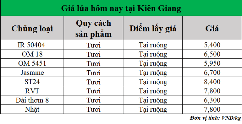 Gia-lua-hom-nay-ngay-20-6-2025_1750394012.png
