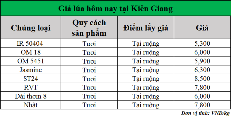 Gia-lua-hom-nay-ngay-27-6-2025_1751008675.png