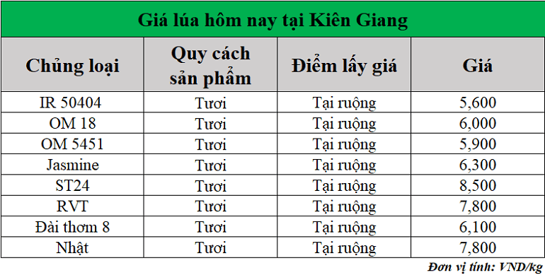 Gia-lua-hom-nay-ngay-18-7-2025_1752811698.png