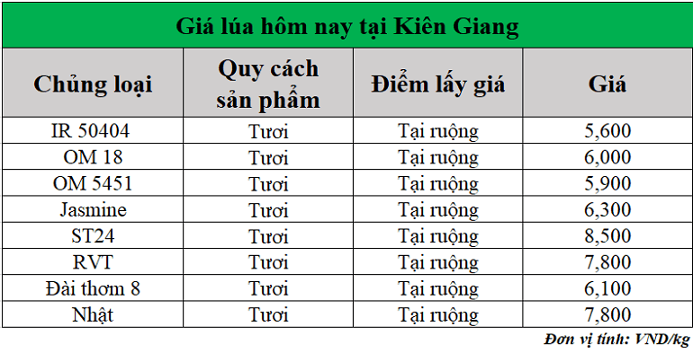 Gia-lua-hom-nay-ngay-25-7-2025_1753416901.png