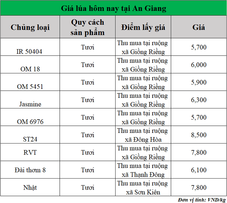 Gia-lua-hom-nay-ngay-8-8-2025_1754627663.png