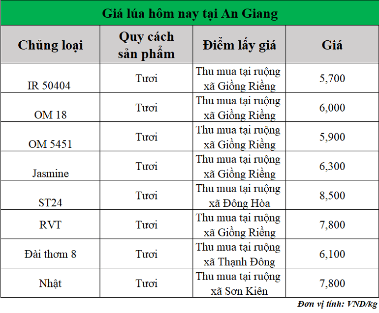 Gia-lua-hom-nay-ngay-15-8-2025_1755239414.png
