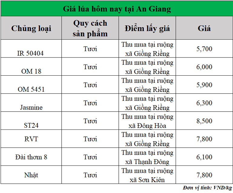 Gia-lua-hom-nay-ngay-22-8-2025_1755833018.png