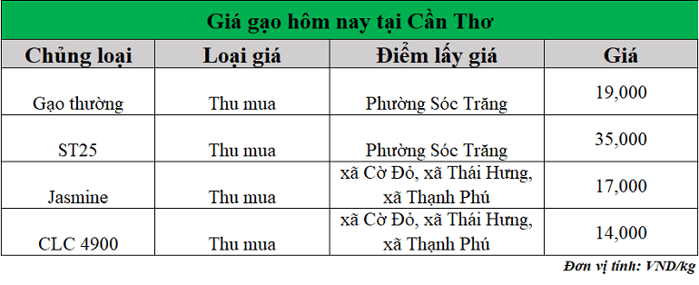 Gia-gao-hom-nay-ngay-8-9-2025_1757300999.png