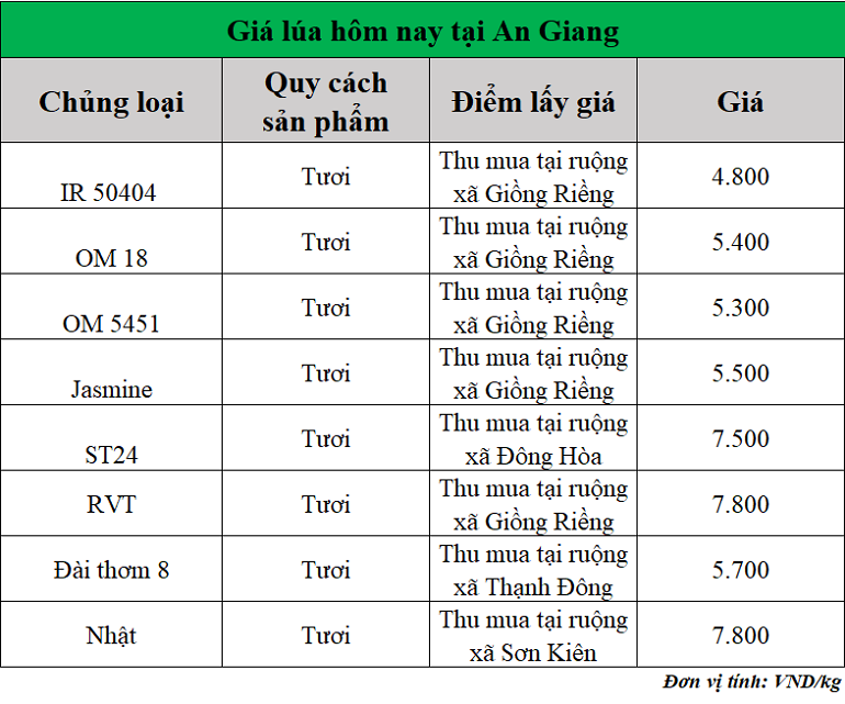 Gia-lua-hom-nay-ngay-26-9-2025_1758855226.png
