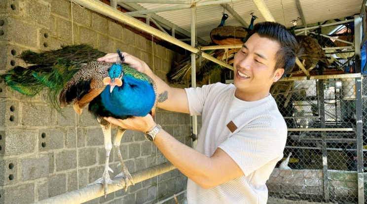 chim-cong_1760606594.PNG