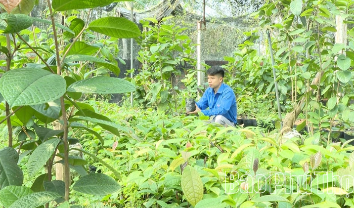 tam-duong-bac-phu-tho1_1761214254.PNG