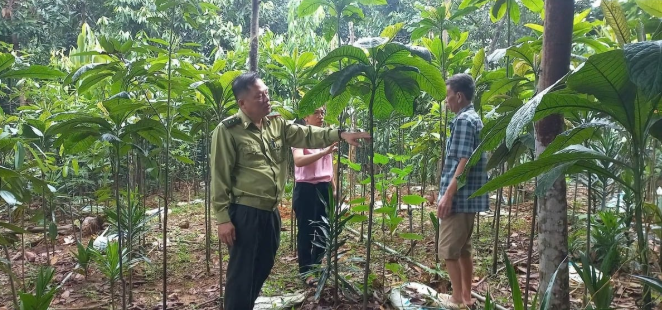 trong-cay-phu-thu-nhap-chinh2_1761538185.PNG