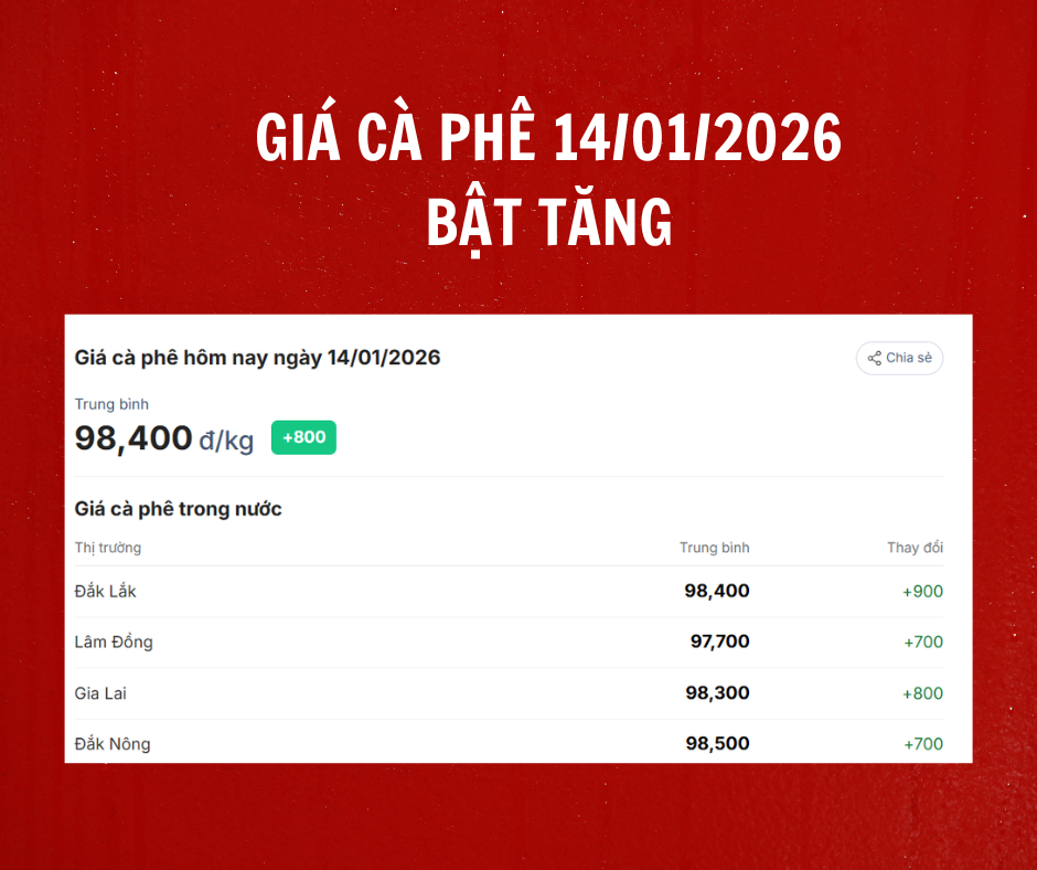Giá cà phê hôm nay 14/1/2026
