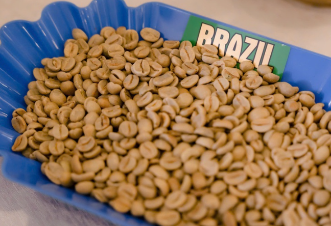 Giá cà phê duy trì đà tăng, nông dân sẽ lại lãi lớn?