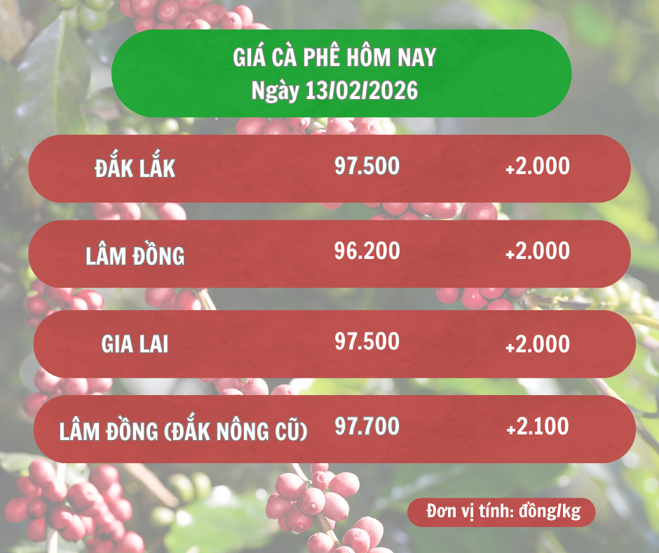 Giá cà phê hôm nay 13/2/2026