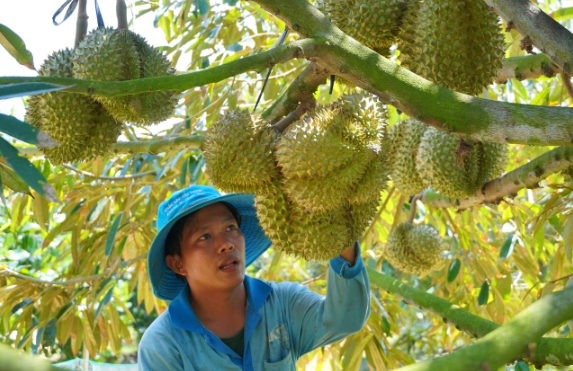 Nông sản năm nay thế nào?