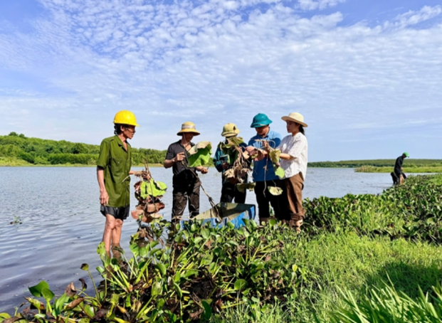 Chuyển đổi đất nông nghiệp kém hiệu quả sang trồng sen