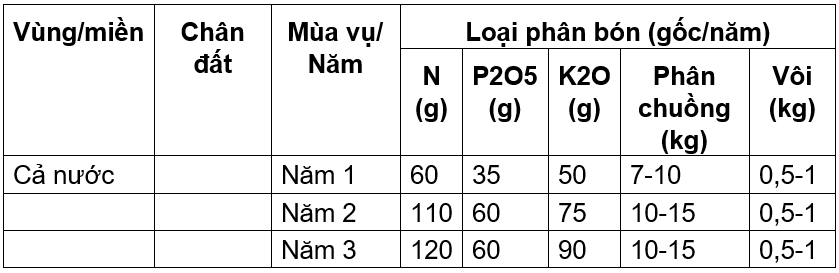 tieu1_1640183872.png