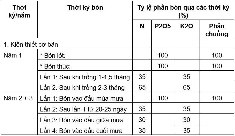 tieu2_1640184149.png