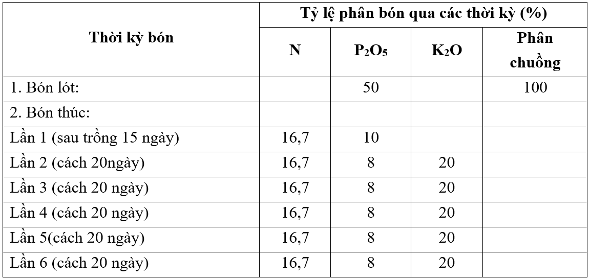 phan-nhan-giong2_1665115951.png