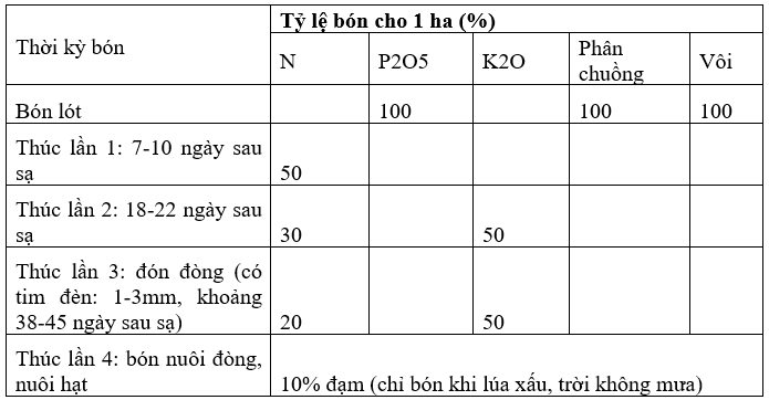 bai5-moi-bang3_1638167071.png