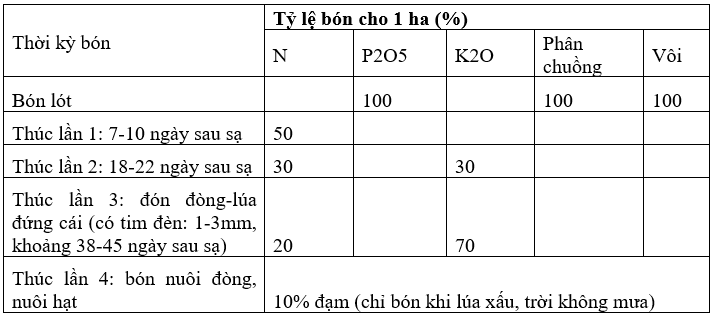 bai5-moi-bang4_1638167131.png