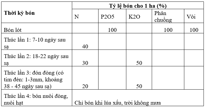 bai6-moi-bang2_1638168245.png