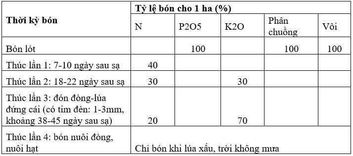 bai6-moi-bang3_1638168276.png